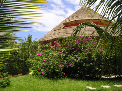 Jardin.jpg