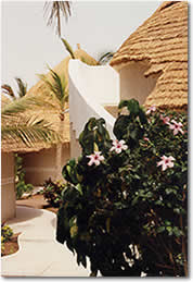 Other photo, Click here