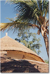 Other photo, Click here