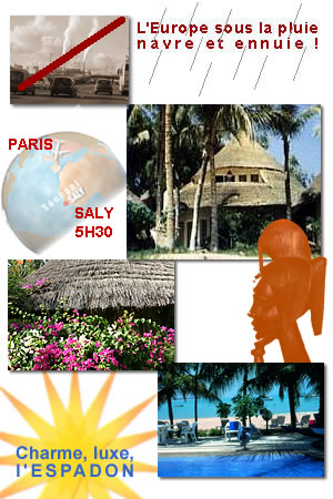 Cliquez et feuilletez les photos de l'hotel Espadon